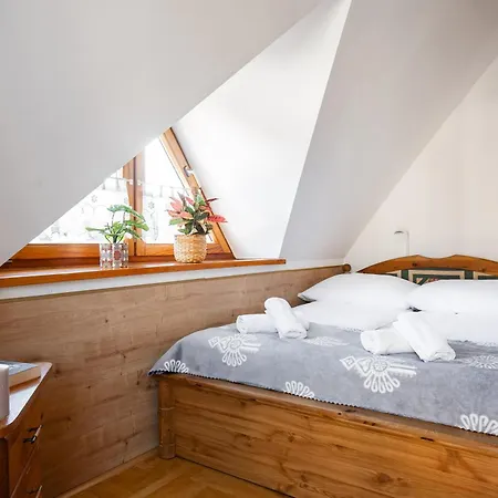 Widokowy Gorski Taras Koscielisko